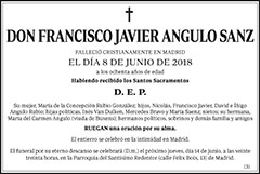 Francisco Javier Angulo Sanz